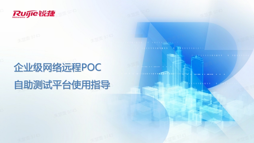 企业级网络远程POC自助测试平台指导